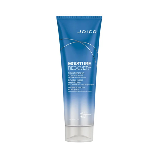 Moisture Recovery Moisturizing Conditioner, 250 ml