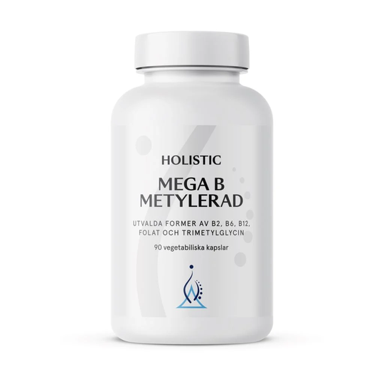 Holistic Mega B Metylerad 90 kapslar