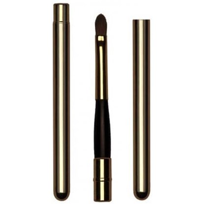Pierre Rene Lip Brush 301