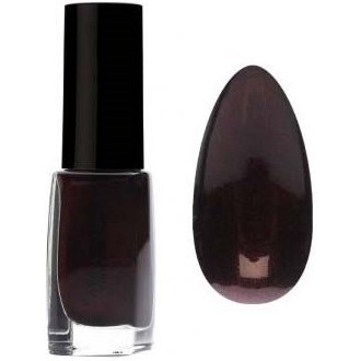 Pierre Rene Nail Poilish no 381