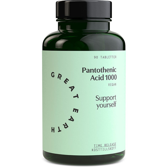 Pantothenic Acid 1000, Great Earth Kosttillskott & Vitaminer