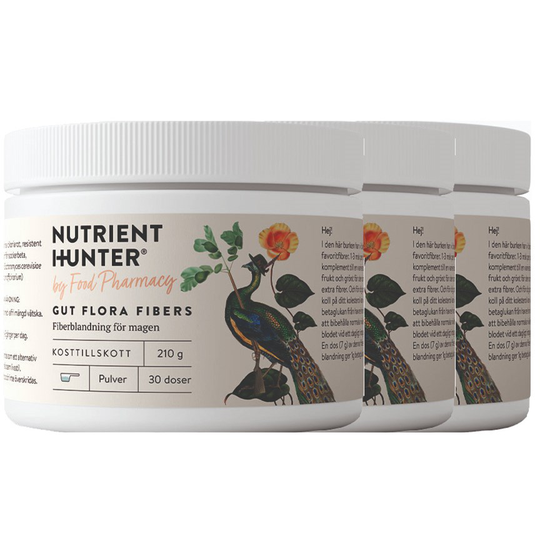 Nutrient Hunter by Food Pharmacy Gut Flora Fibers 3-pack
