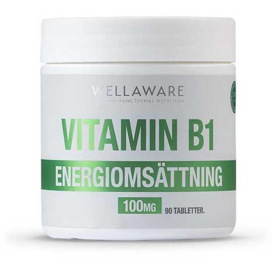 WellAware Vitamin B1 minitabletter 90 st